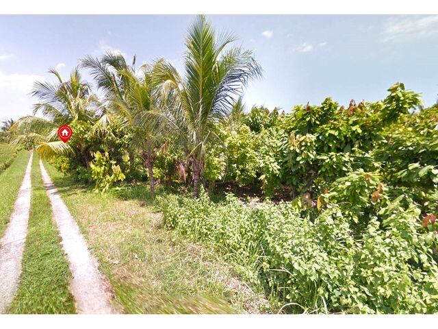 Balian (Bengkel Sari) - P