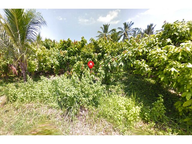 Balian (Bengkel Sari) - P