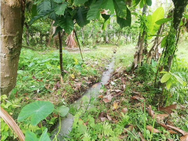 Balian (Bengkel Sari) - P