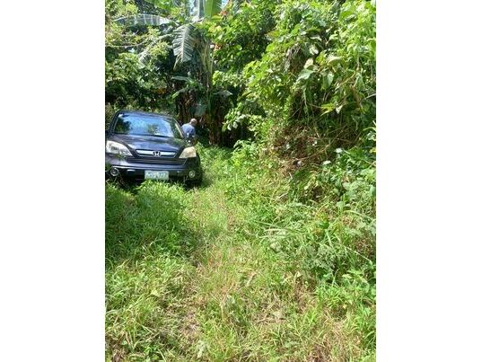 Lot Driveway to Barrio Rd