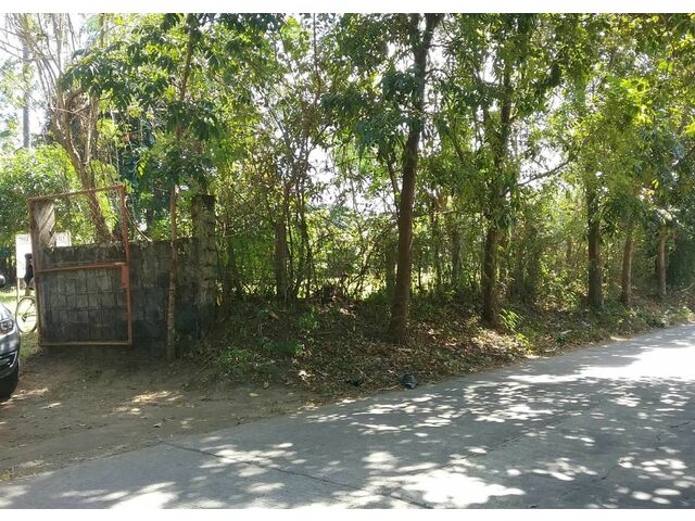 Farm Gate and Frontage