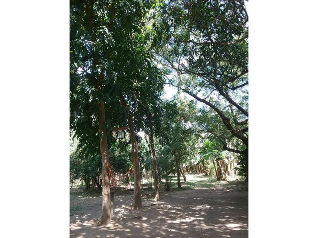 Former Farm Admin Area