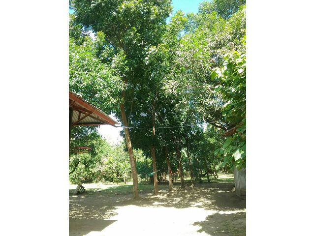 Another Admin Area View