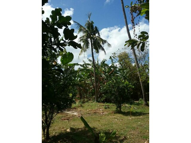 Another View of Farm Lot