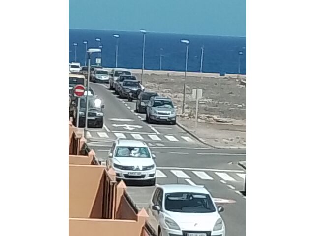 Views from the house