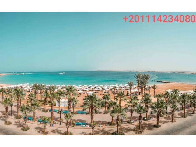 Roof of the building 