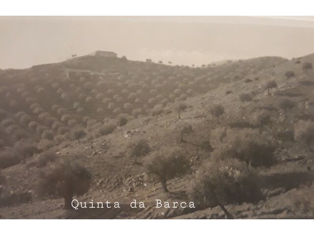 QUINTA da BARCA