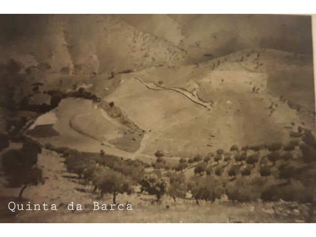 QUINTA da BARCA