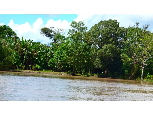 Amazonas River