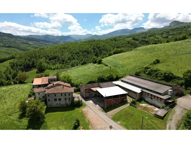 F.HOUSE,TOOL SHED, STABLE