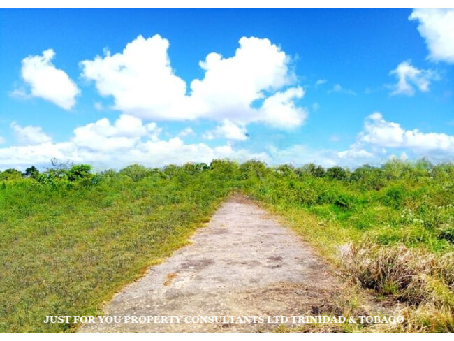 Land for Sale in Trinidad