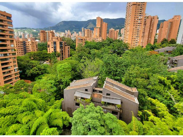 view from master room