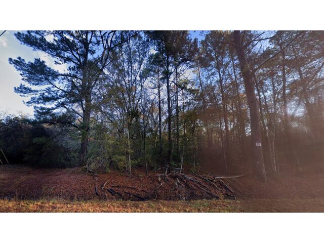 Cohen Rd, Pineland, SC 29