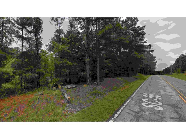 Hwy 56, Clinton, SC, 2932