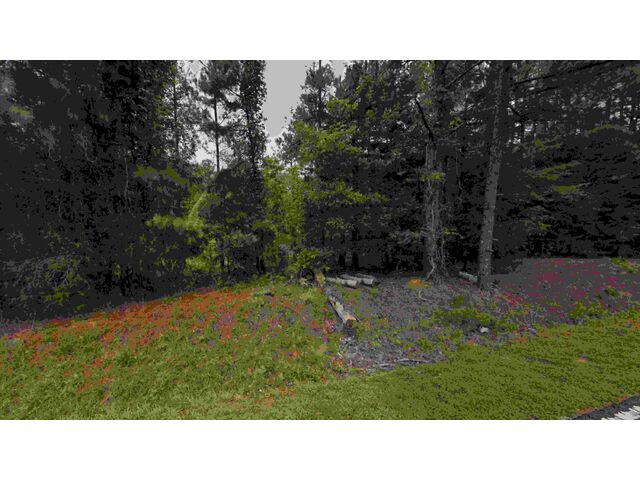 Hwy 56, Clinton, SC, 2932