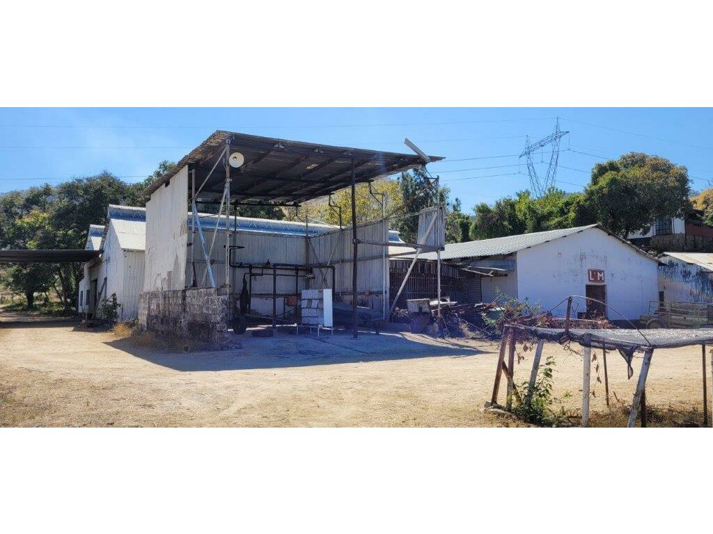 Workshop and Boat Shed