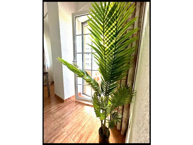 Vista puerta Terraza.