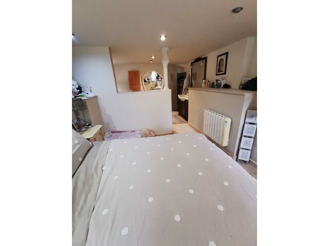 Downstairs Master Bedroom