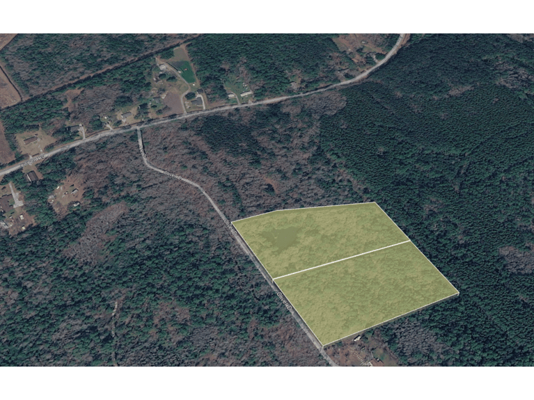 Oliver Dr Pineland SC 299