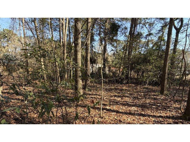 Rosemary Rd, Yemassee, SC