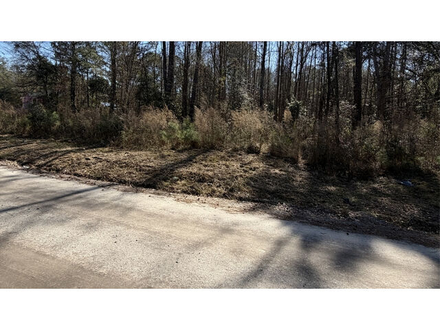 Rosemary Rd, Yemassee, SC