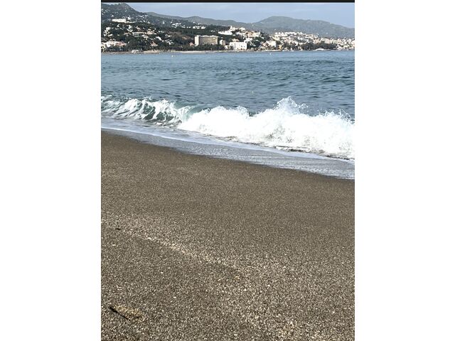 Malaga Beach 