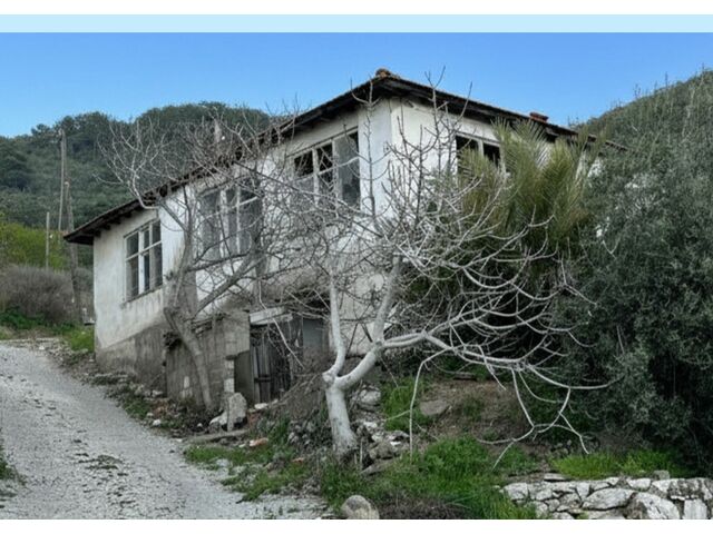 Plot 1335/1