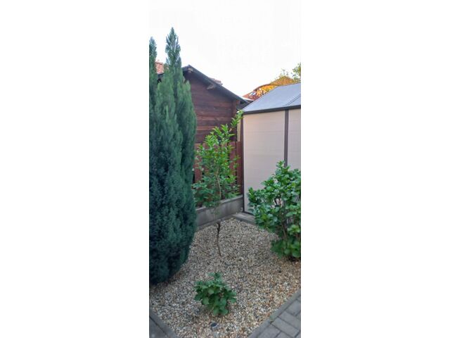 Shed in yard