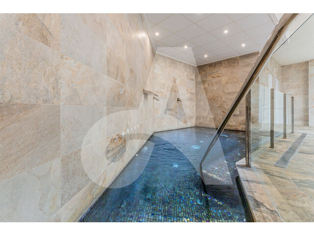 Wellness / jacuzzi