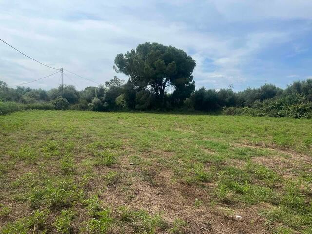 Zacharo Plot 7
