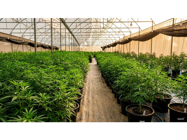 Greenhouse Complex