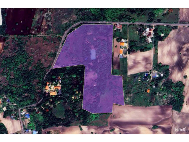 Surrounding Area View