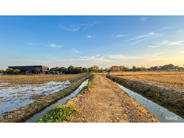 Site Layout and Access