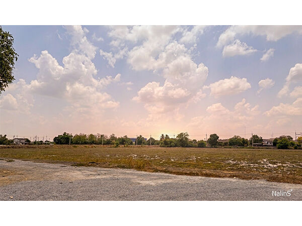 Development Site Overview