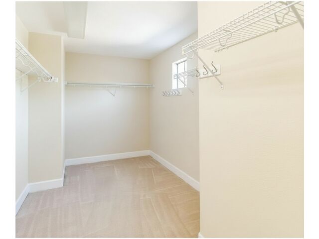 Oversized Master Closet
