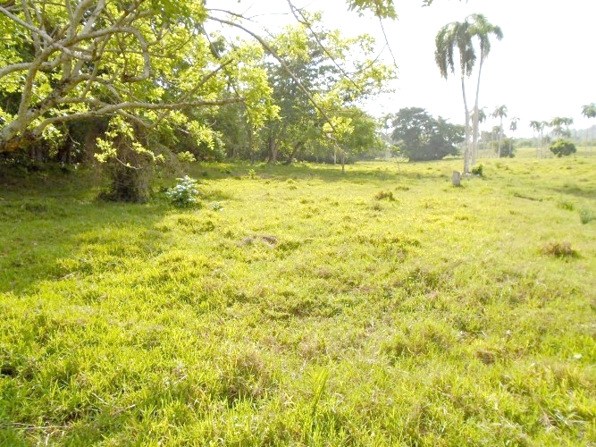 BEACHFRONT LAND FOR CONSTRUCTION PROJECT IN GASPAR HERNANDEZ (Dominican