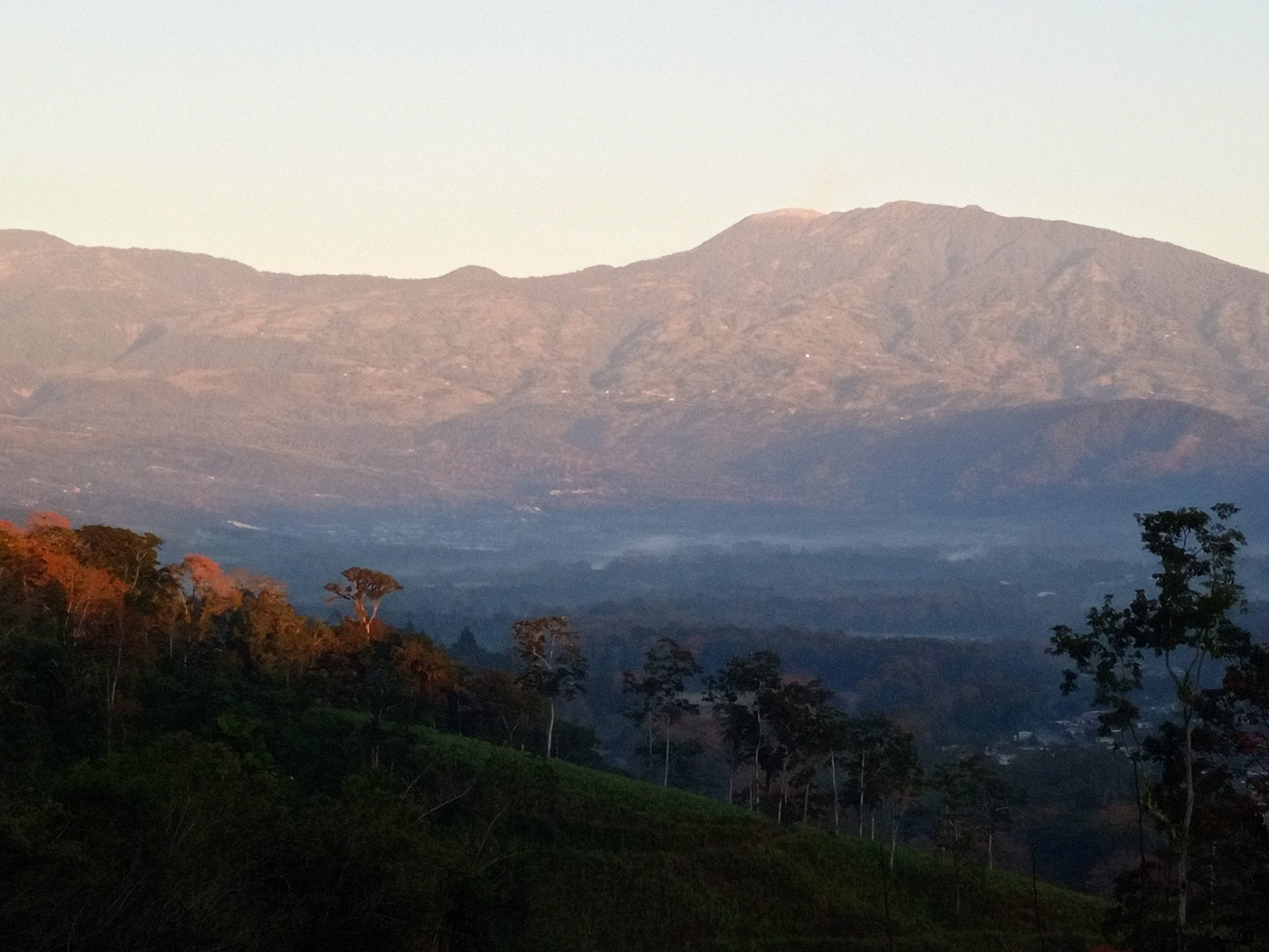 Fruit Trees Hobby Farm in the Turrialba Valley, Costa Rica (Costa Rica