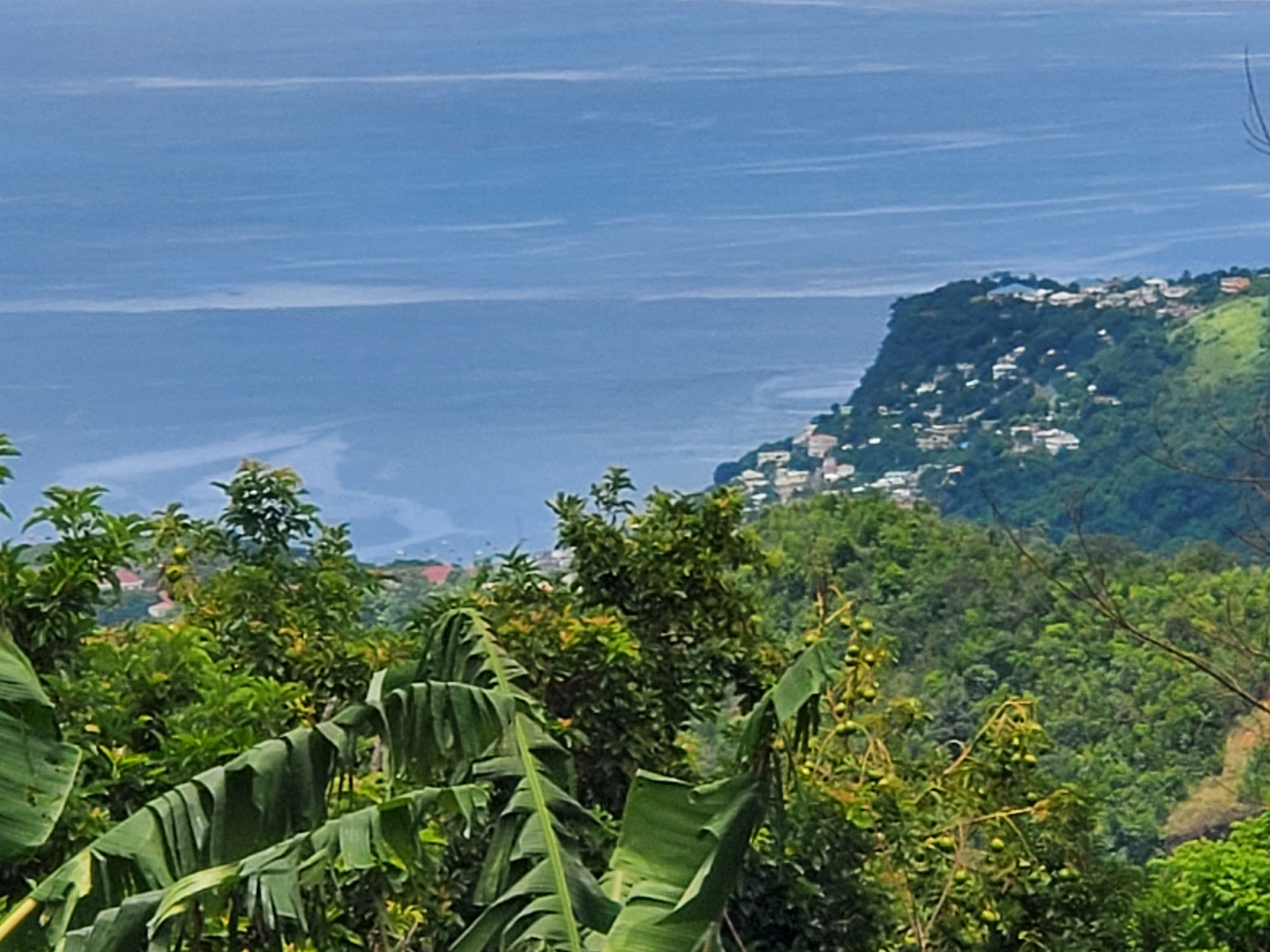 4 Acres of Land for sale in Giraudel (Dominica, Saint Giraudel