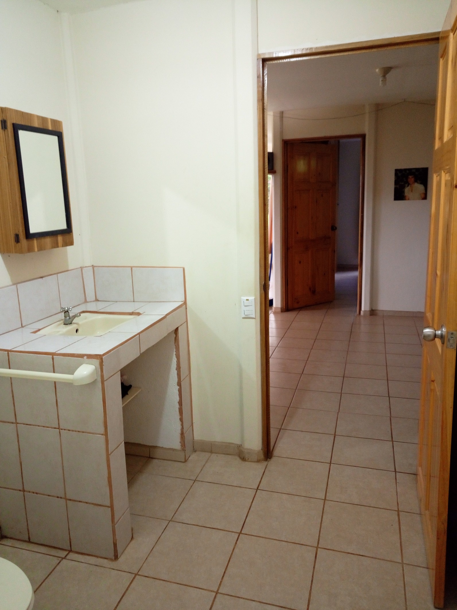 Fruit Trees Hobby Farm in the Turrialba Valley, Costa Rica (Costa Rica