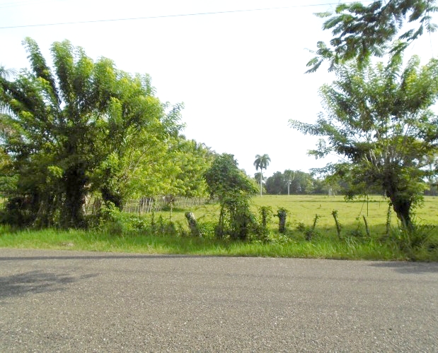 BEACHFRONT LAND FOR CONSTRUCTION PROJECT IN GASPAR HERNANDEZ (Dominican