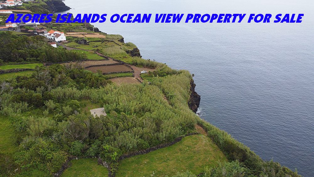 Aprender sobre 74+ imagem azores farm for sale br.thptnganamst.edu.vn