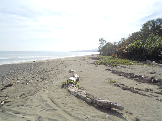 BEACHFRONT LAND FOR CONSTRUCTION PROJECT IN GASPAR HERNANDEZ (Dominican