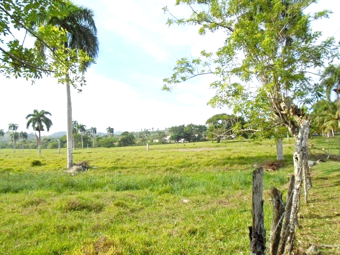 BEACHFRONT LAND FOR CONSTRUCTION PROJECT IN GASPAR HERNANDEZ (Dominican
