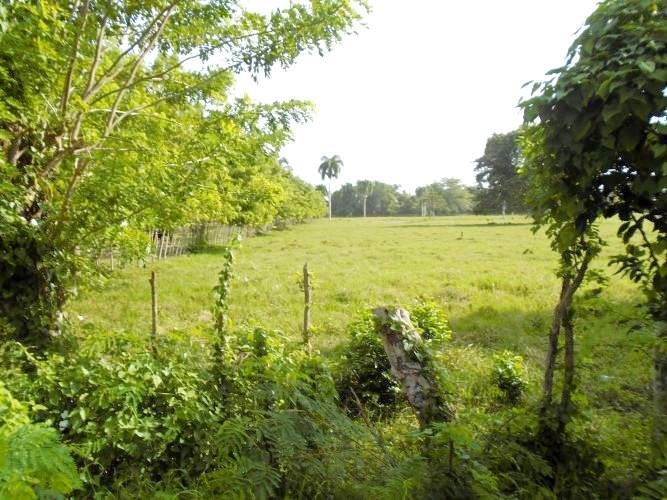 BEACHFRONT LAND FOR CONSTRUCTION PROJECT IN GASPAR HERNANDEZ (Dominican